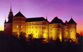 www.Stadt-Torgau.de.vu